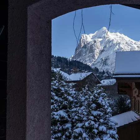 The Glacier Express - Grindelhomes Apartment *