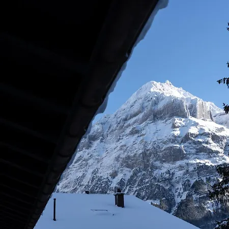 Apartment The Glacier Express - Grindelhomes *