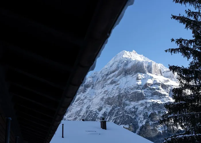 Lejlighed The Glacier Express - Grindelhomes *