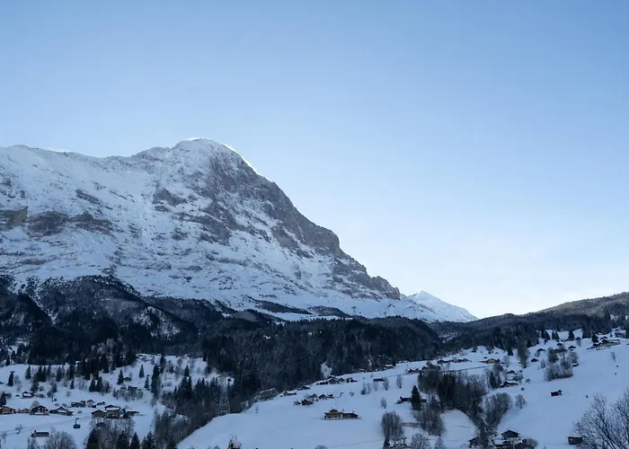 The Glacier Express - Grindelhomes דירה גרינדלוולד