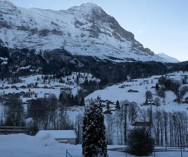 דירה The Glacier Express - Grindelhomes גרינדלוולד