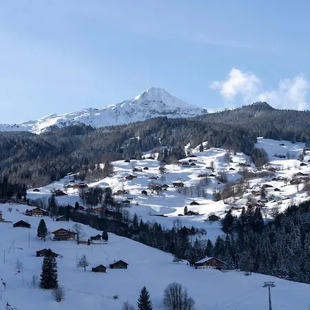 Apartmán The Glacier Express - Grindelhomes